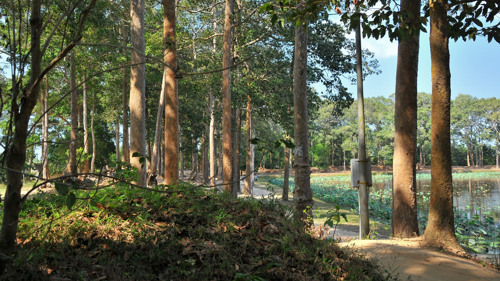 Day 2 Pass By The Tranquil Ba Om Pond, Adorned With Lotus Blooms