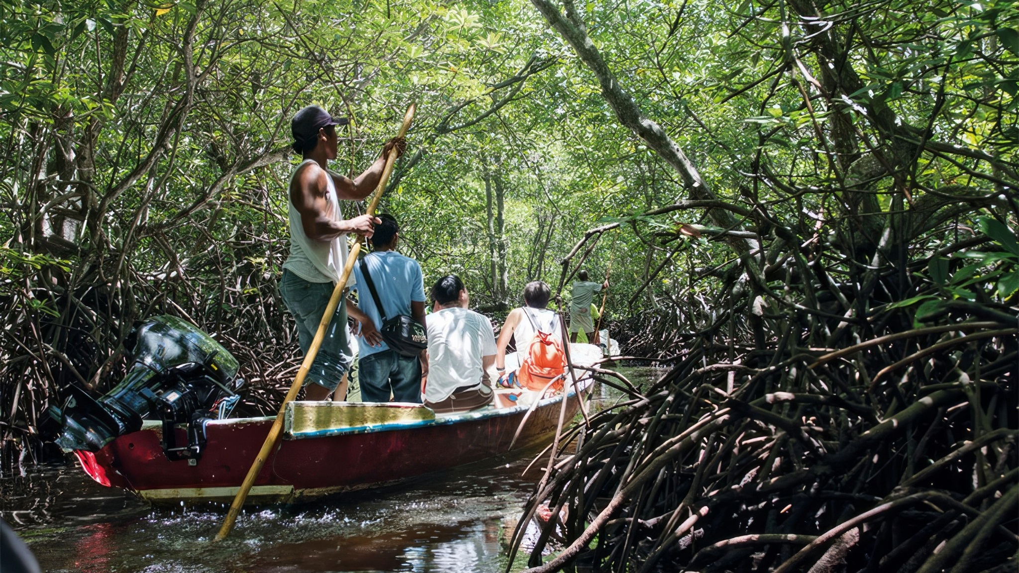 Day 4 Enjoy A Peaceful Boat Ride Through Mangrove Waterways