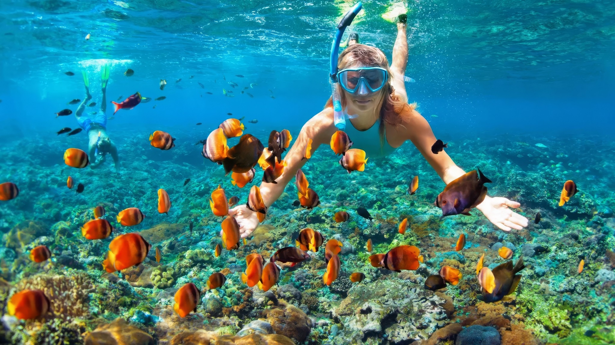 Day 6 Snorkel Along The Renowned Hon Tam Coral Reef