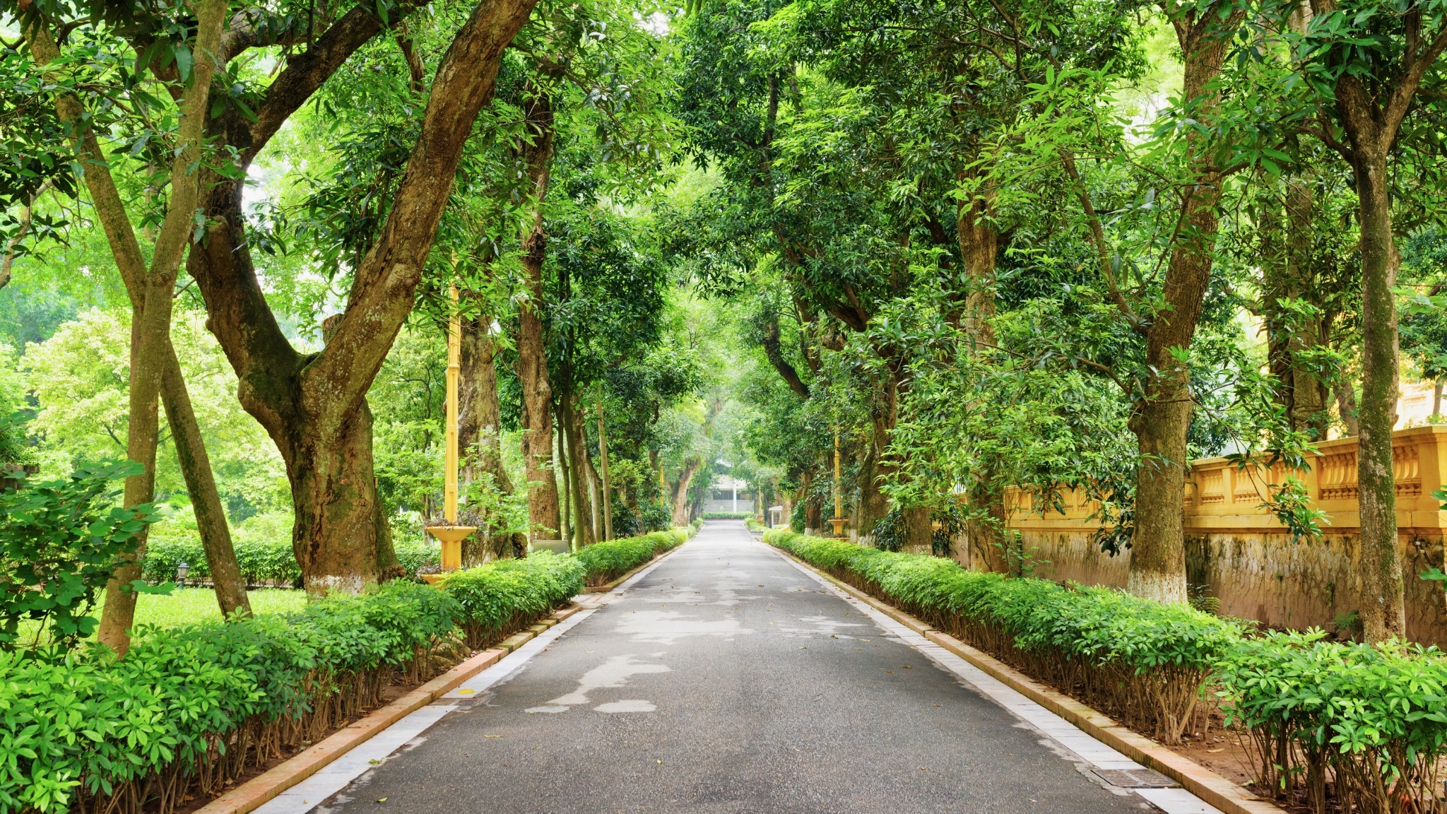 Day 1 Discover Nature&rsquo;s Beauty At The Enchanting Hanoi Botanical Garden