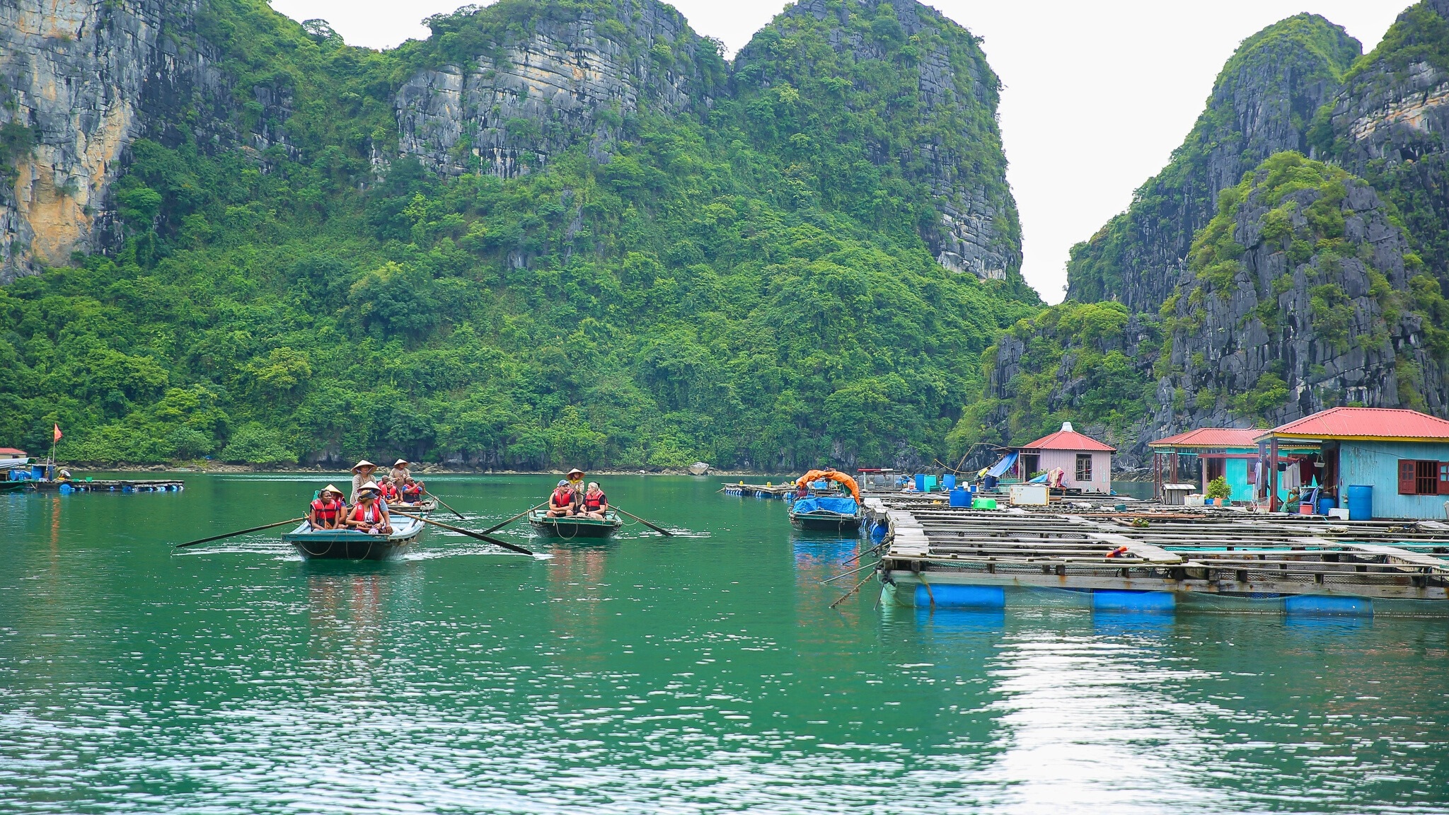 Day 4 Glide Past The Peaceful Cai Beo Fishing Village
