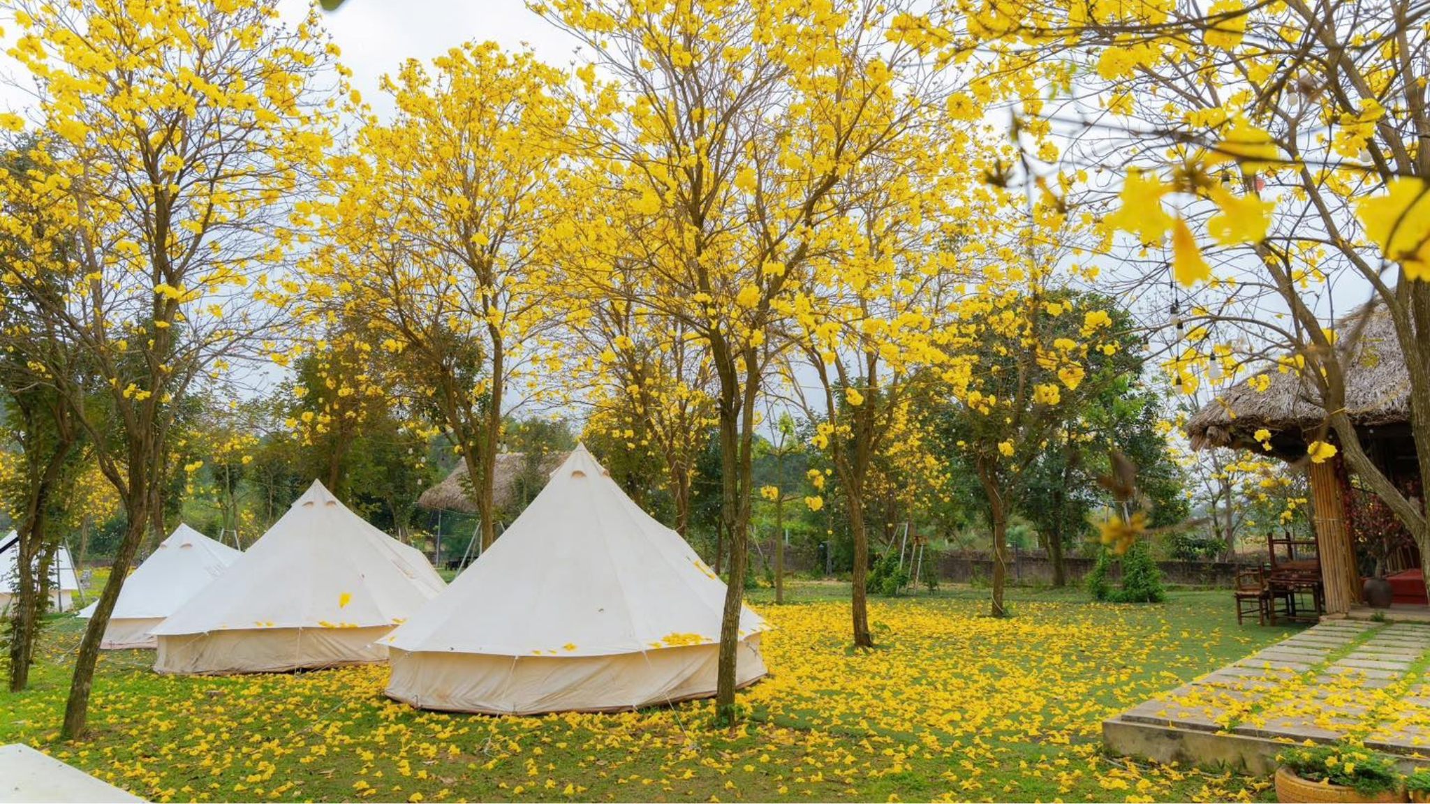 Day 2 Explore Ba Vi Eco Camping Site, A Peaceful Retreat Surrounded By Nature And Mountain Views