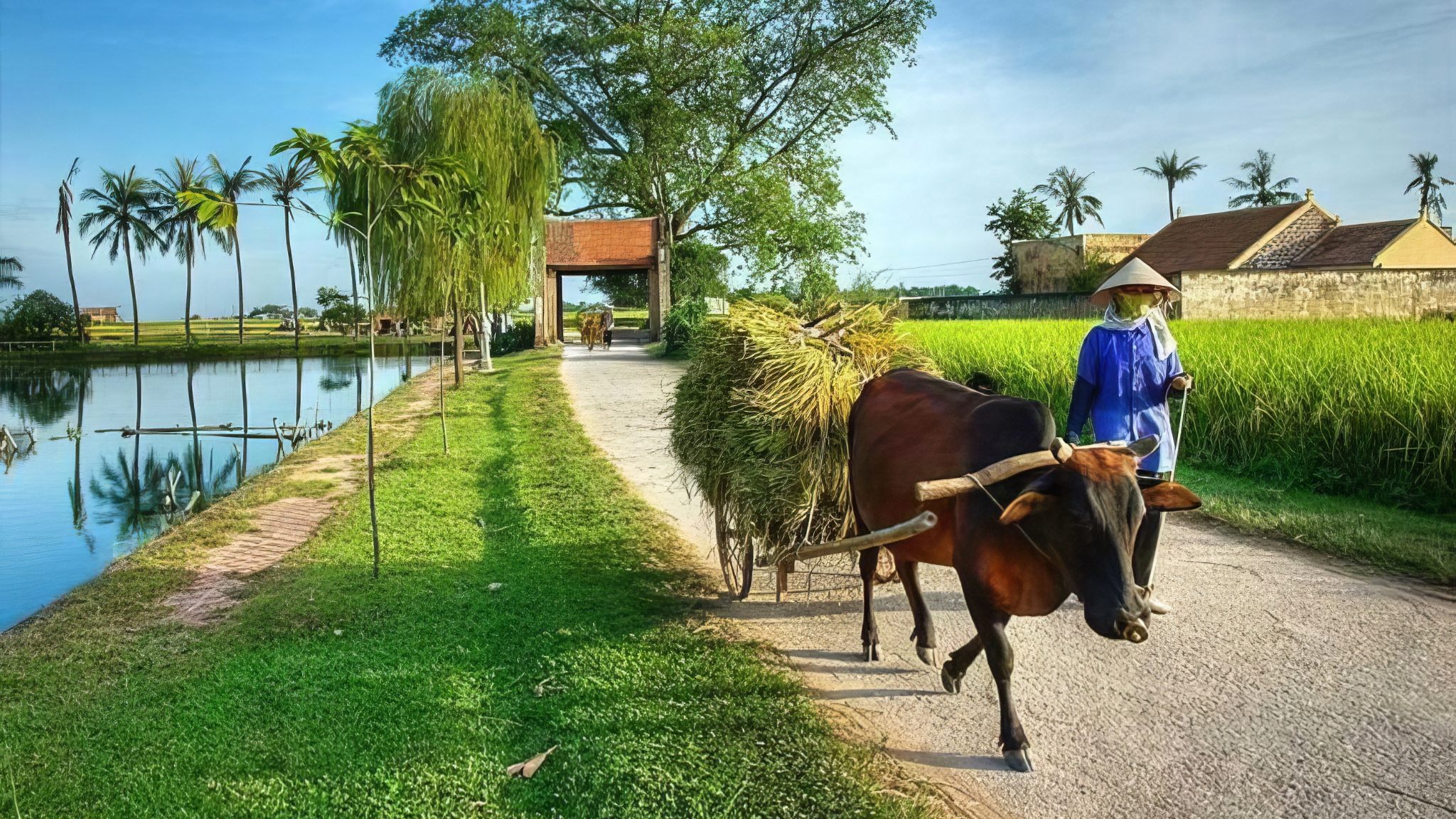 Day 3 Ky Son Village An Enchanting Ancient Village In Nothern Vietnam