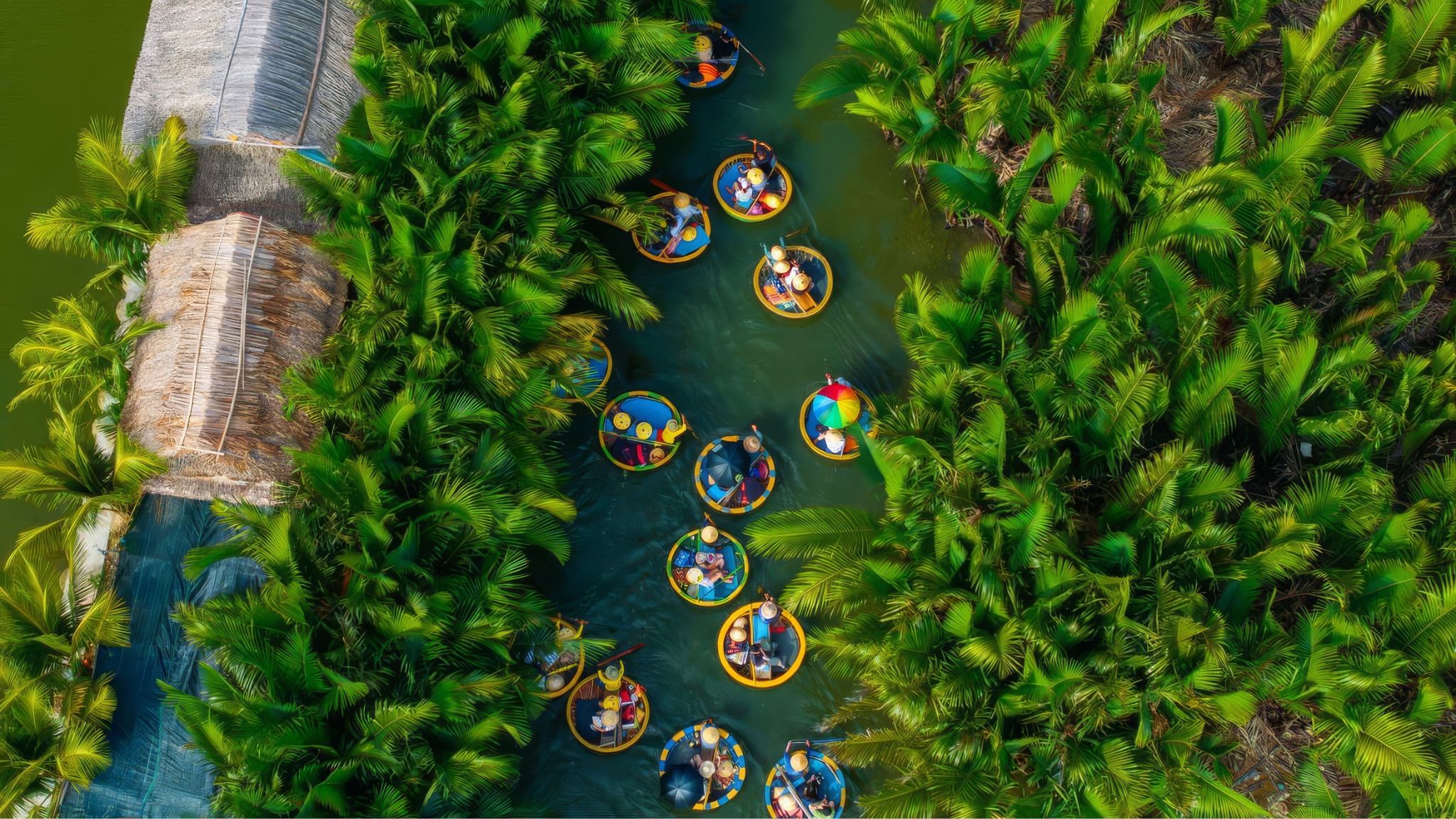 Day 5 Glide Through Mangrove Channels In A Bamboo Basket Boat
