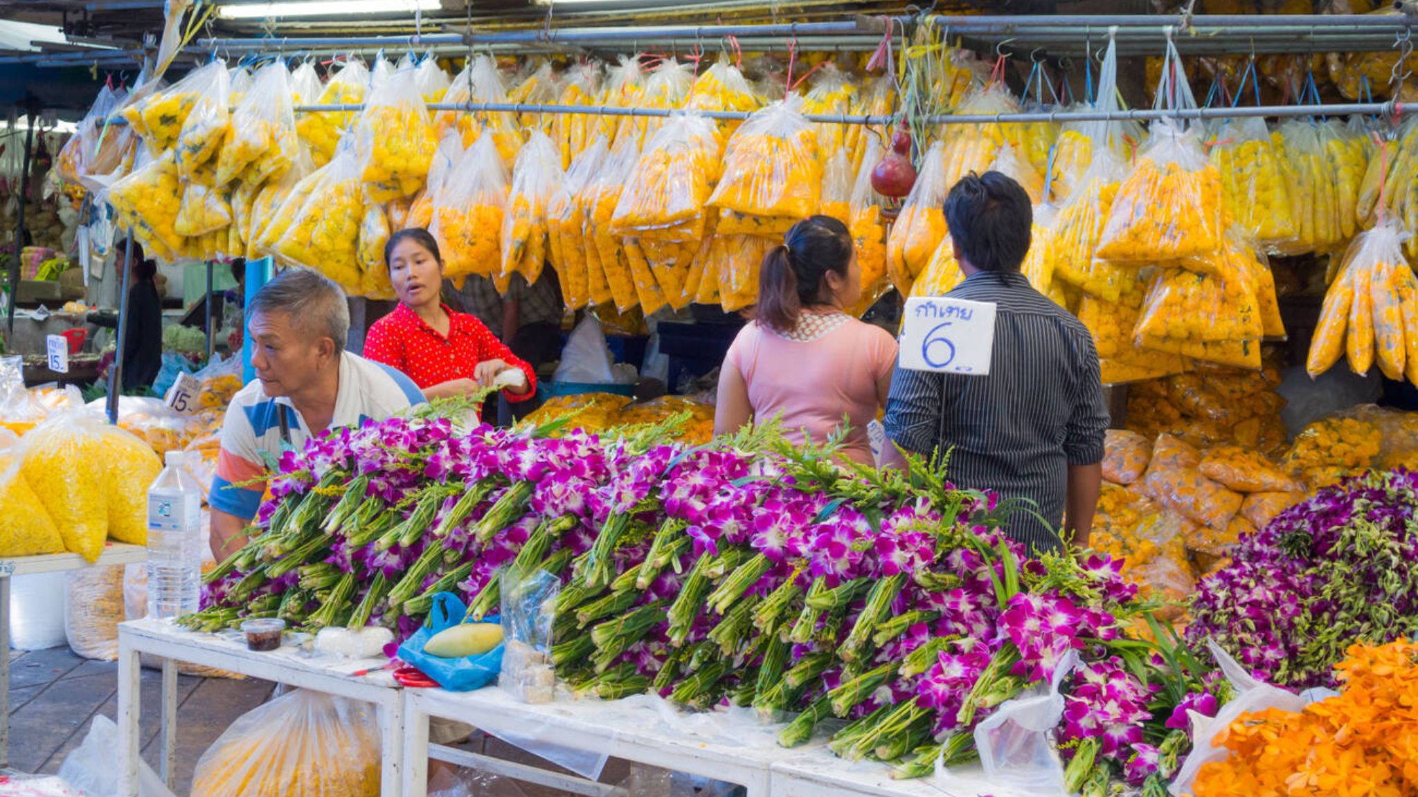 Day 1 Visit Pak Khlong Talat Thai's Biggest Flower Market