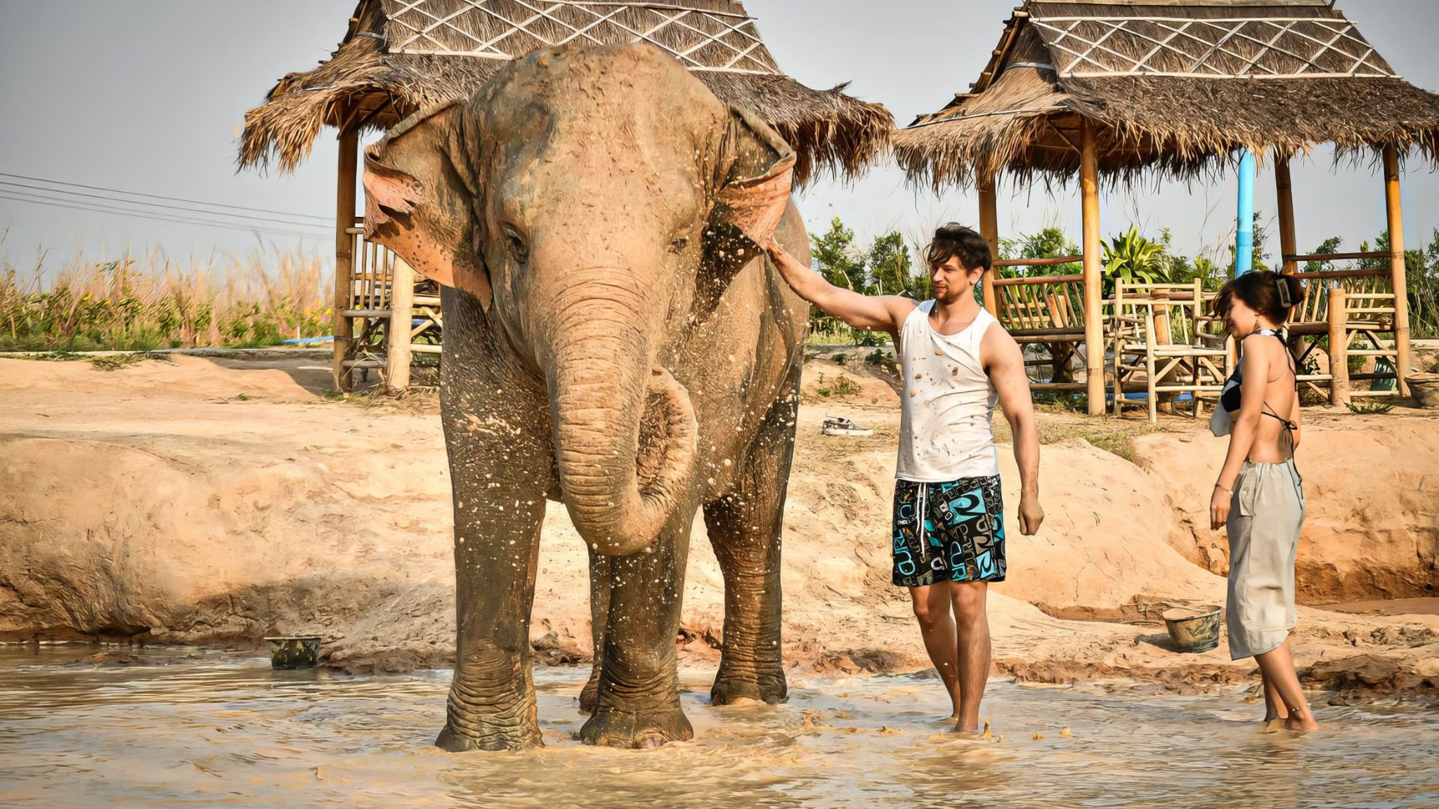 Day 4 Enjoy A Fun And Refreshing Mud Bath With The Elephants