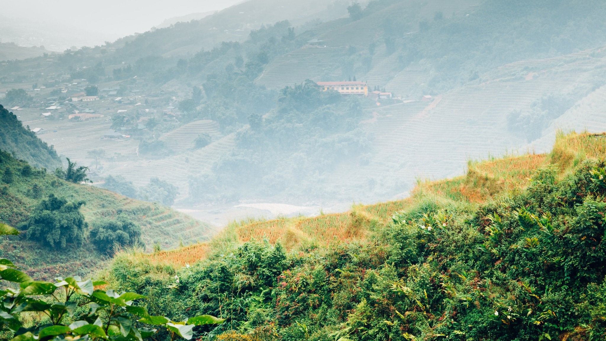 Day 5 Watch The Hills Ripple With Gold At Y Linh Ho Terraced Fields