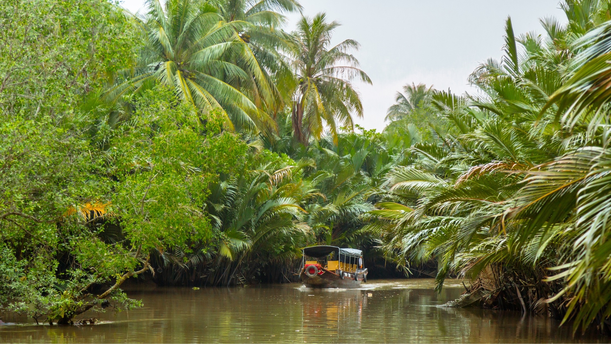 Day 2 Cruise Gently On The Ham Luong River As Coconut Palms And River Villages Drift Past