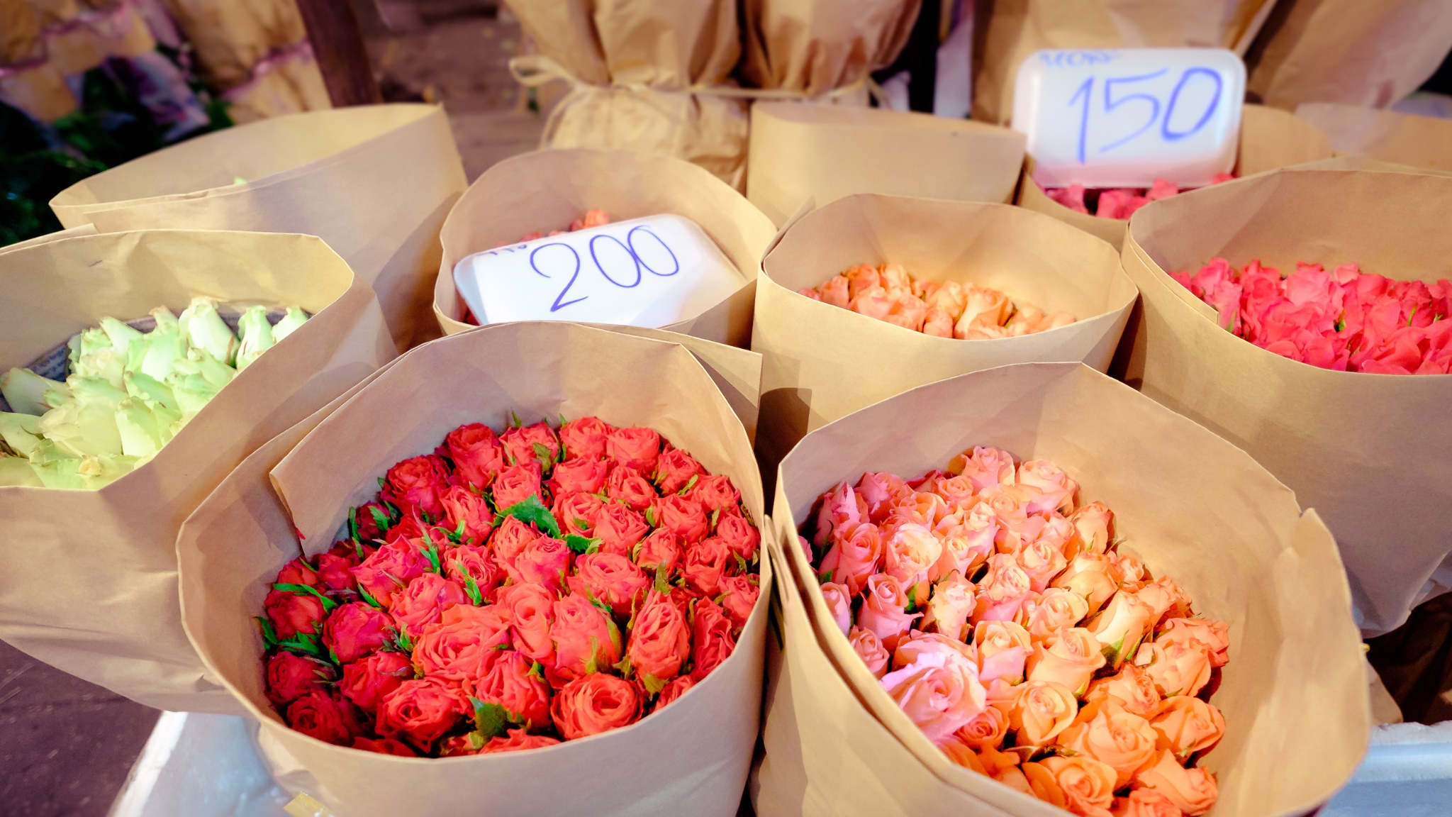 Day 1 Step Into Pak Khlong Talat A Blooming Wonderland In The Heart Of Bangkok