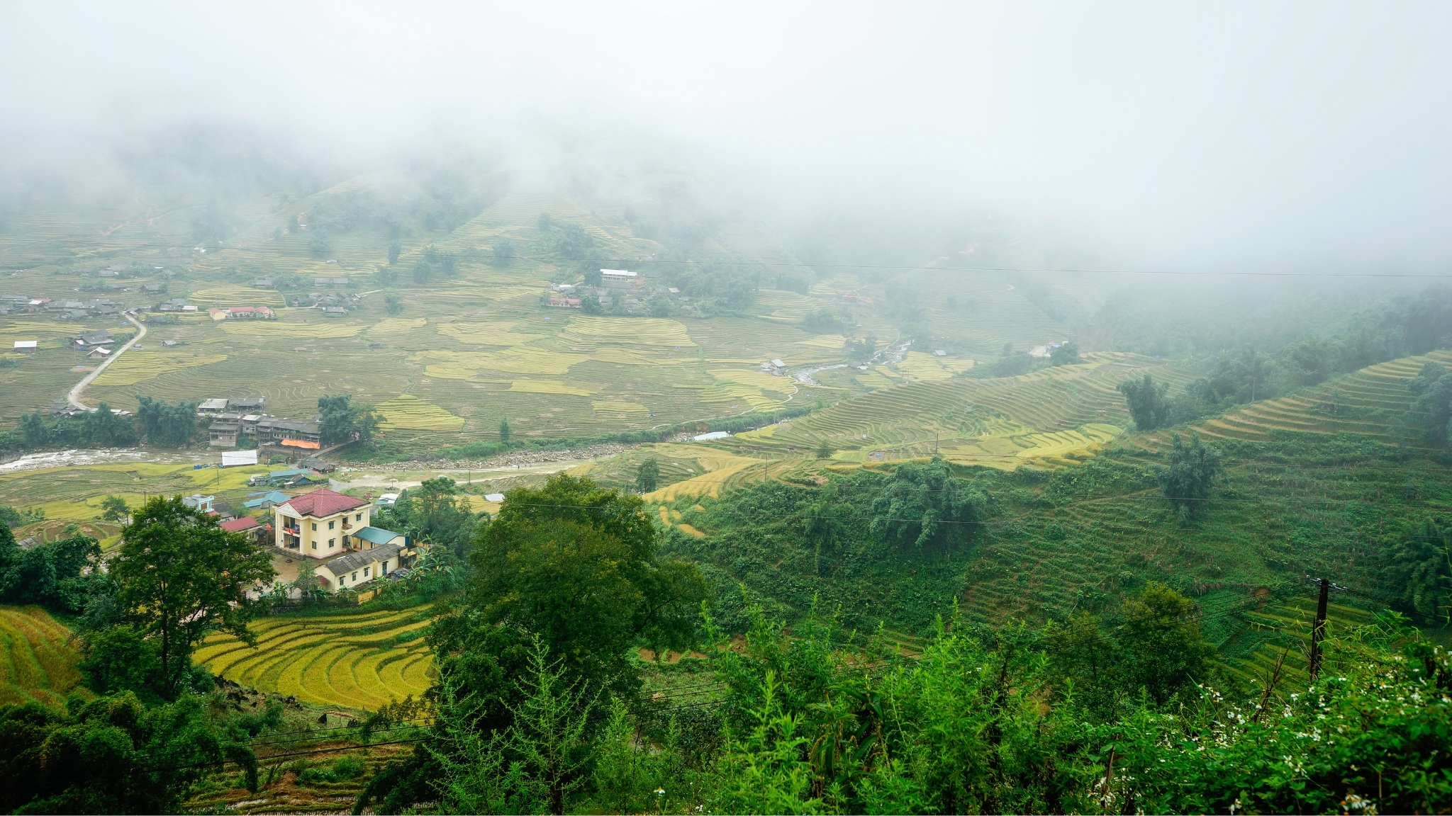 Day 3 Find Quiet Moments In Ta Van Village With Green Terraced Fields And Gentle Hills