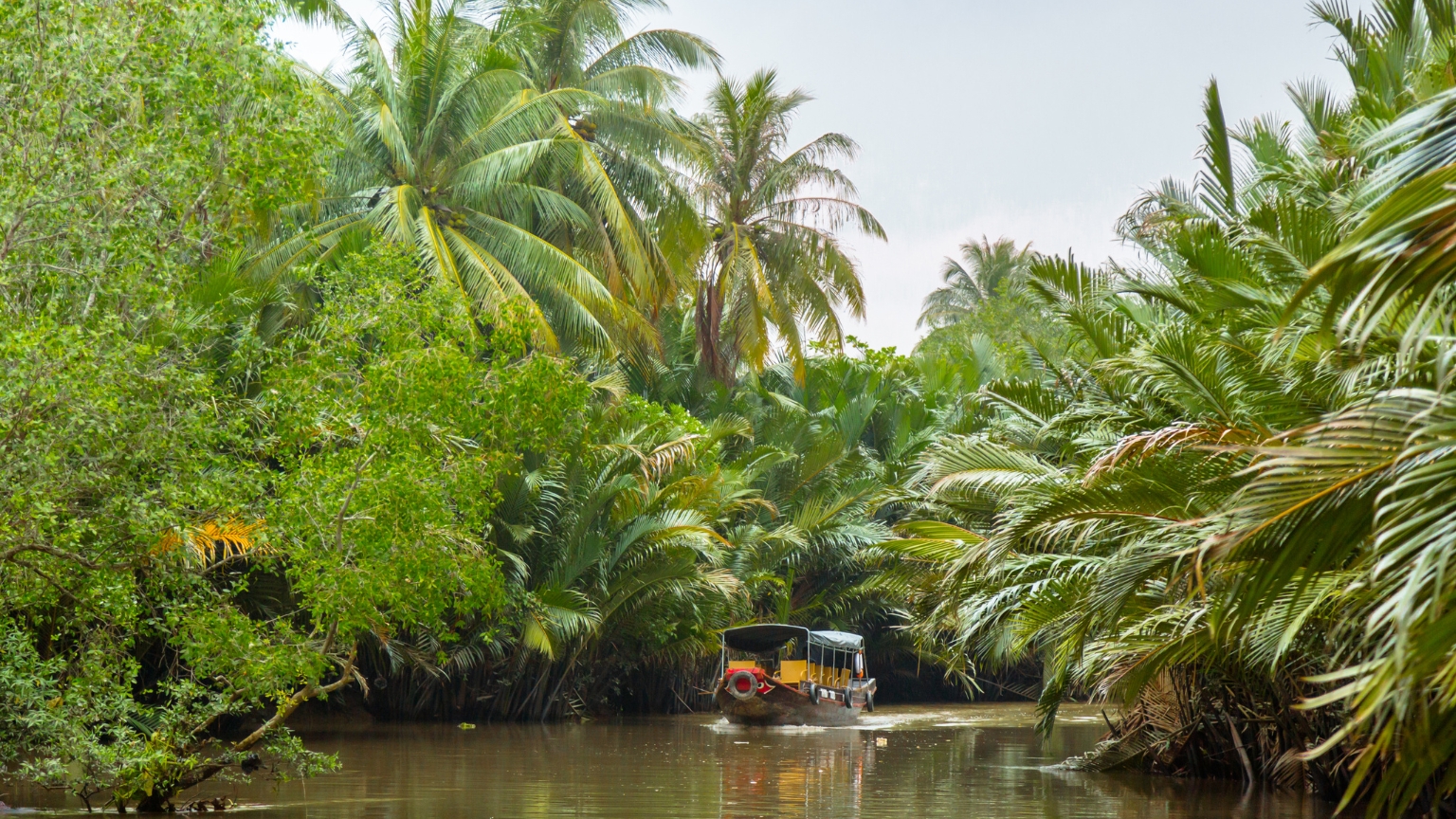 Peaceful rowboat ride through shaded coconut canals