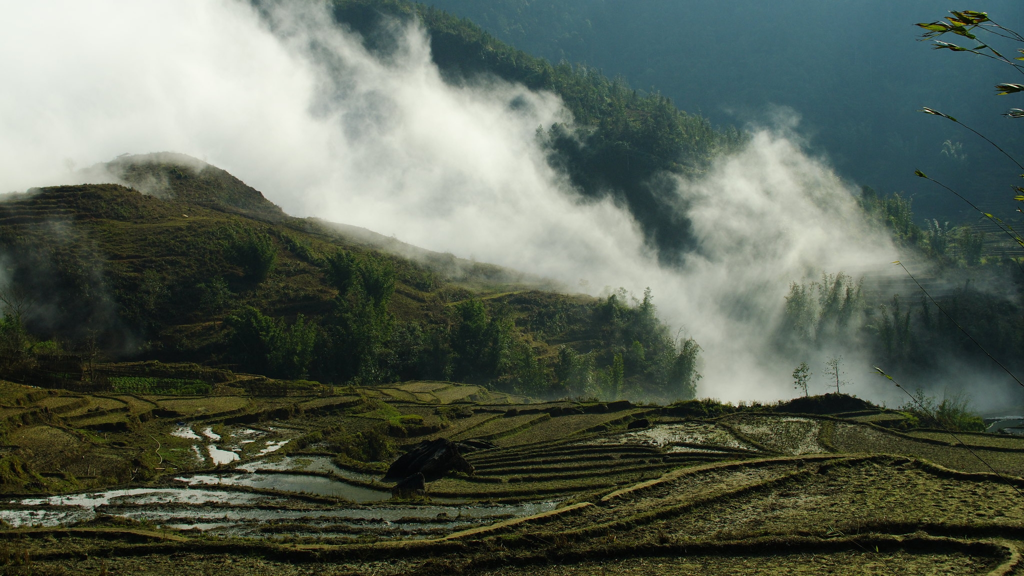 Day 7 Breathe In The Fresh Air Of Sin Chai Village Where Forest And Fields Meet