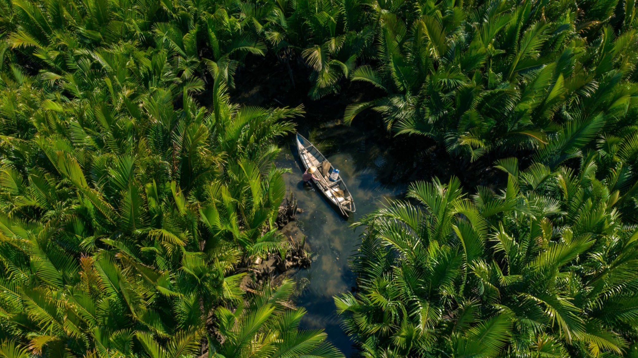 Day 3 Board A Traditional Wooden Boat And Cruise Through The Mekong Delta’s Peaceful Canals