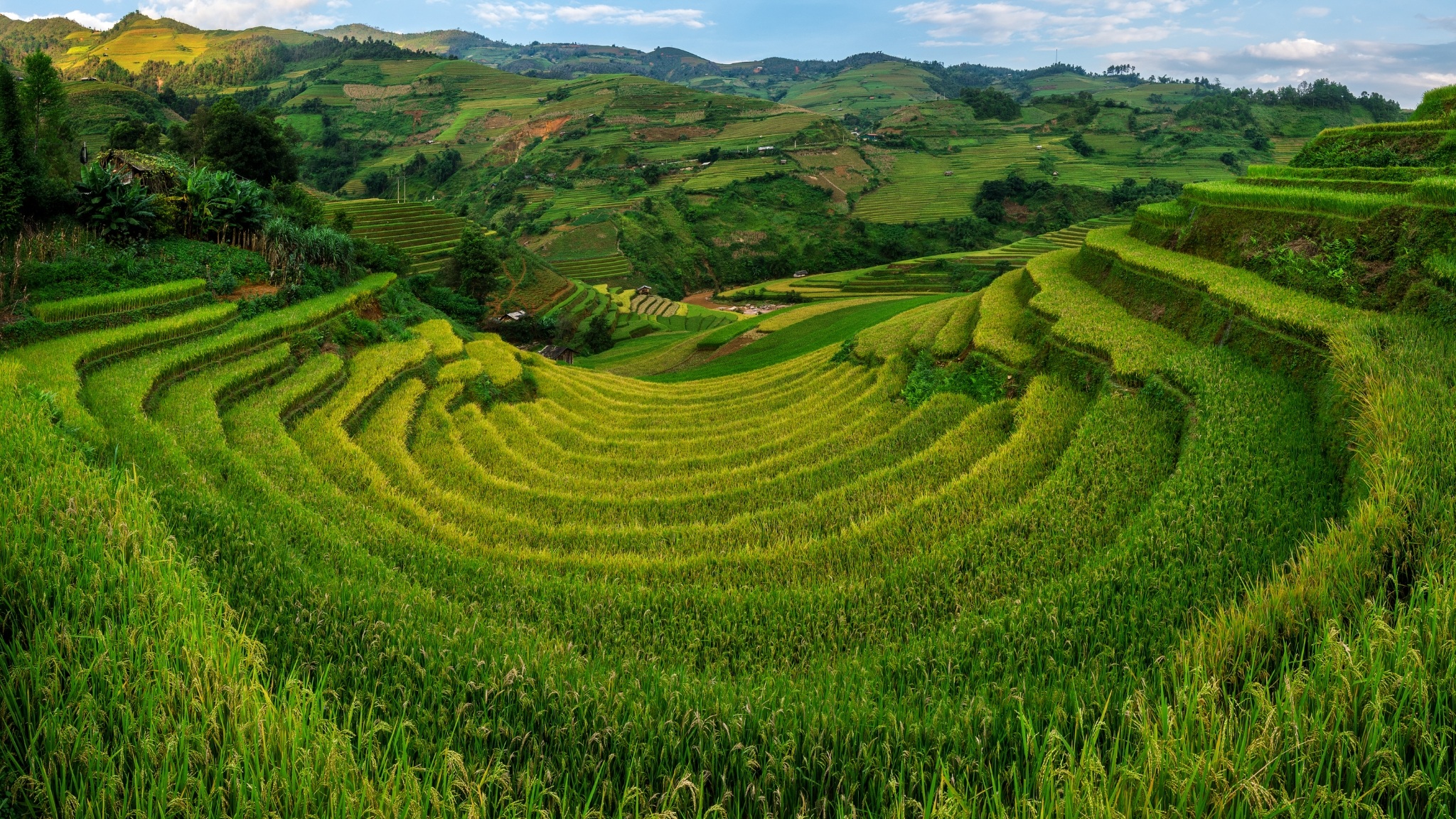 Day 2 Discover The Stunning Rice Terraces At Mu Cang Chai, A Masterpiece Of Nature And Local Farming