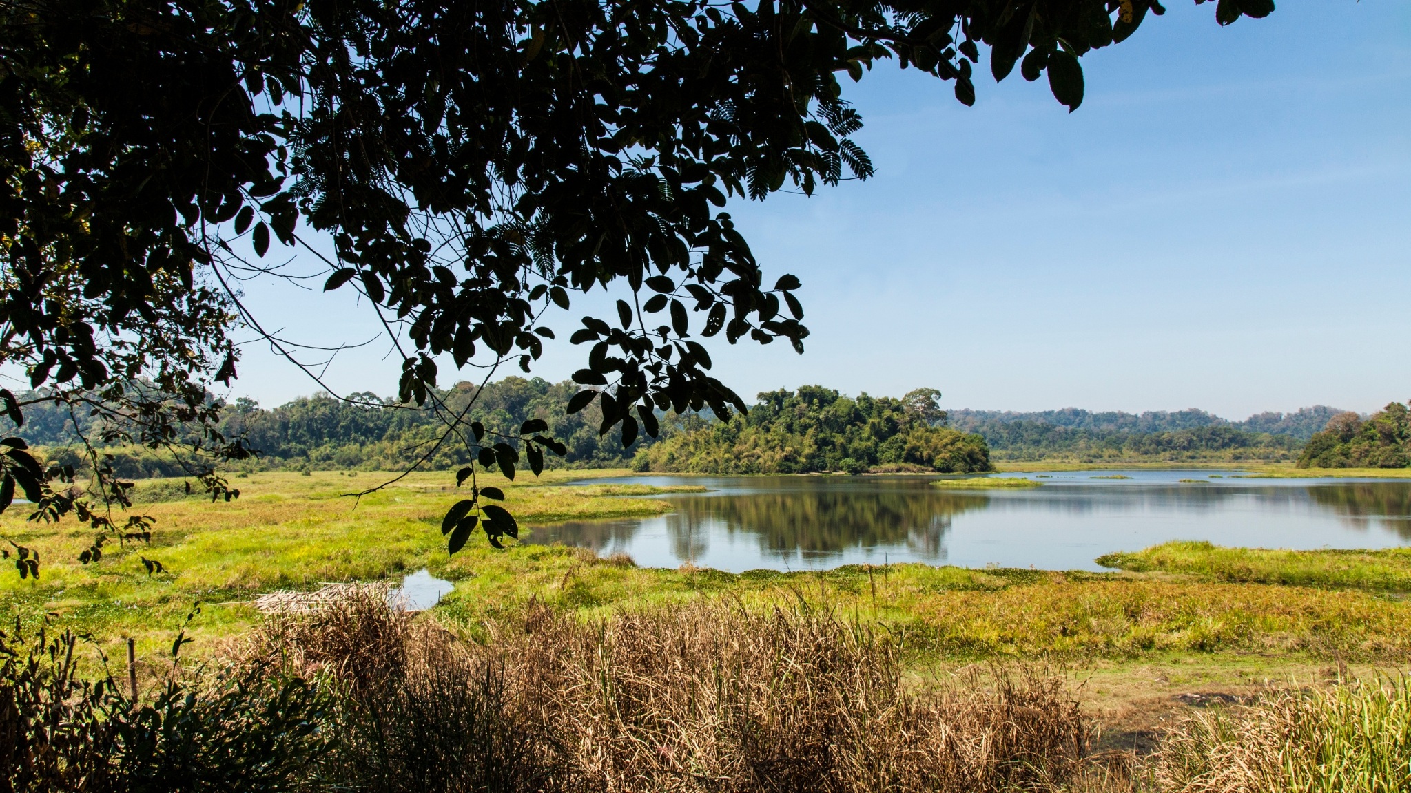 Day 1 Wander Through Cat Tien National Park Filled With Unique Flora And Fauna