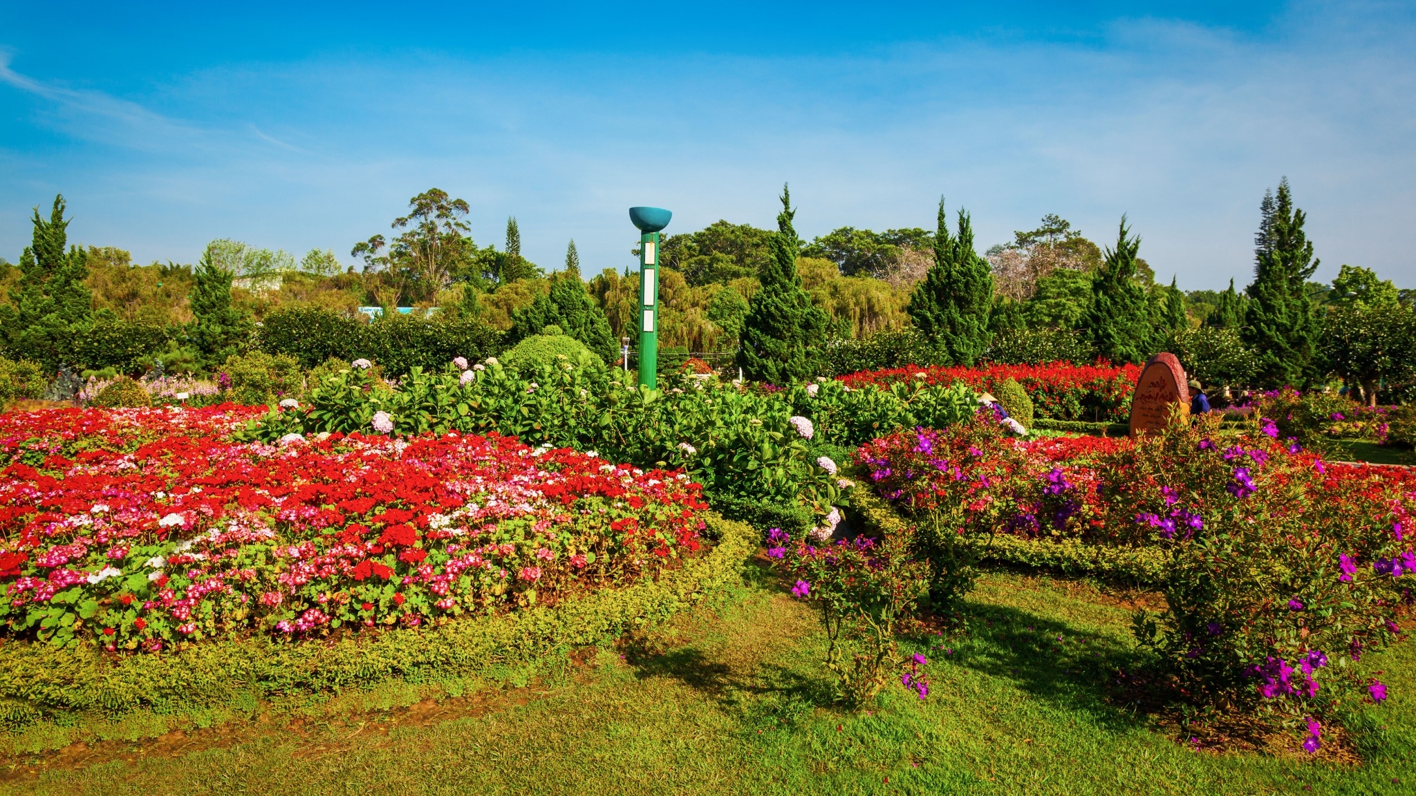 Day 2 Drop By Da Lat Flower Gardens Bursting With Roses, Orchids, And Seasonal Blossoms