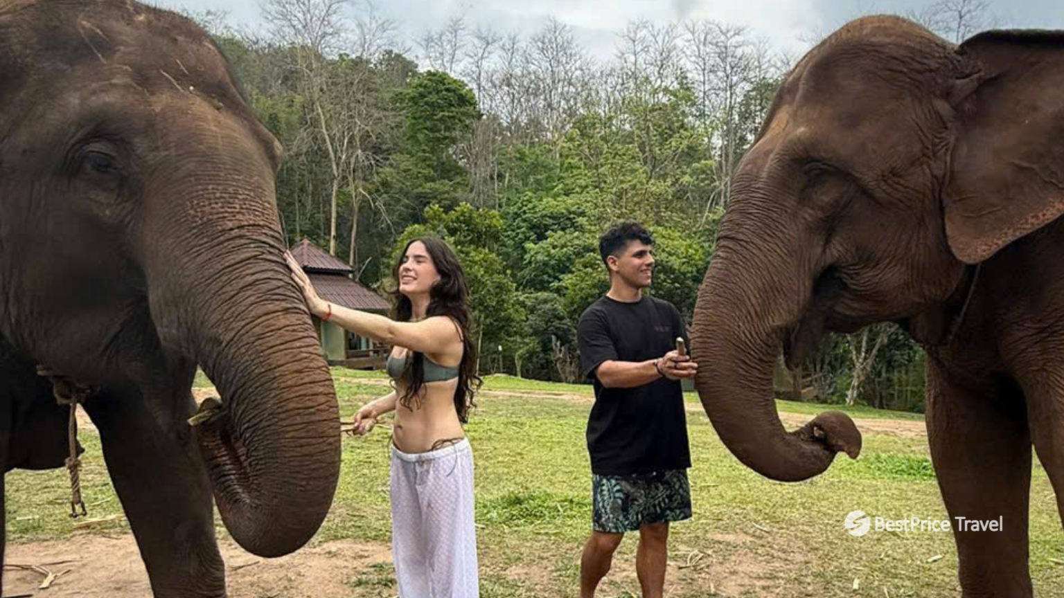 Day 4 Visit Elephant Jungle Sanctuary For An Ethical Elephant Experience