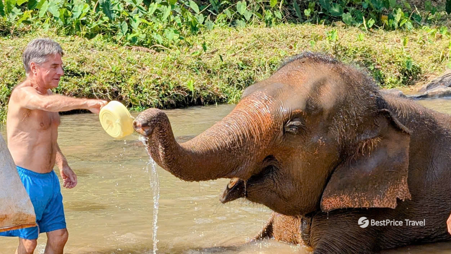 Day 4 Enjoy A Mud Spa Alongside Elephants For A Fun, Hands On Experience