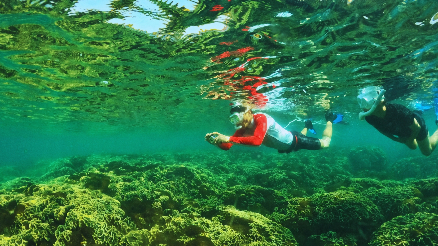 Snorkel In Phu Quoc And Explore Vibrant Marine Life