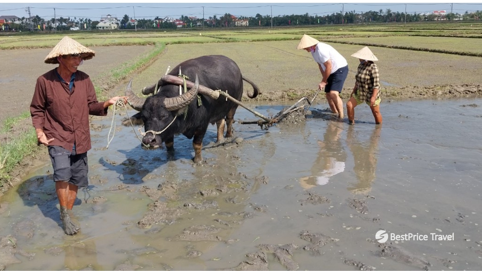 Day 5 Experience Rice Farming And Learn Traditional Cultivation Methods