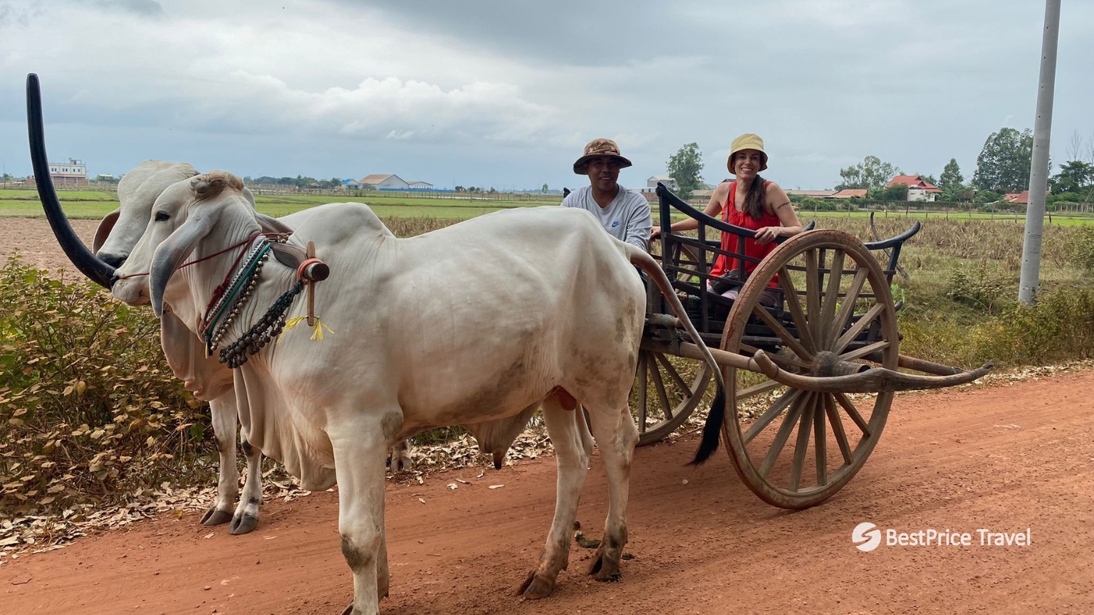 Day 3 Ride An Ox Cart Through The Countryside For A Traditional ExperienceRide An Ox Cart Through The Countryside For A Traditional Experience