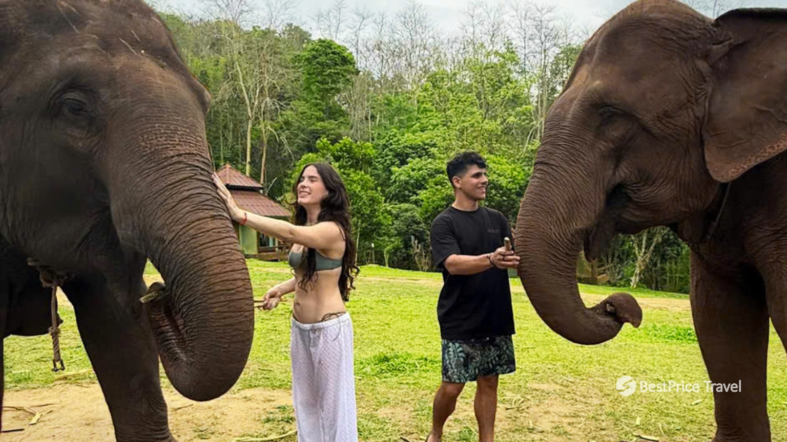 Day 7 Have The Chance To Interact With Friendly Elephants