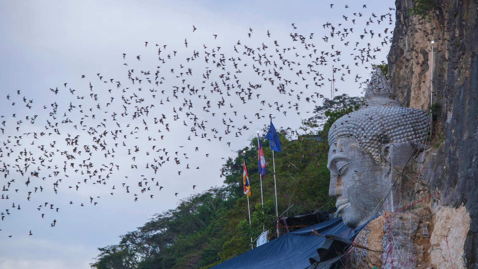 Day 6 Visit Phnom Sampov And Watch Thousands Of Bats Emerge At Dusk