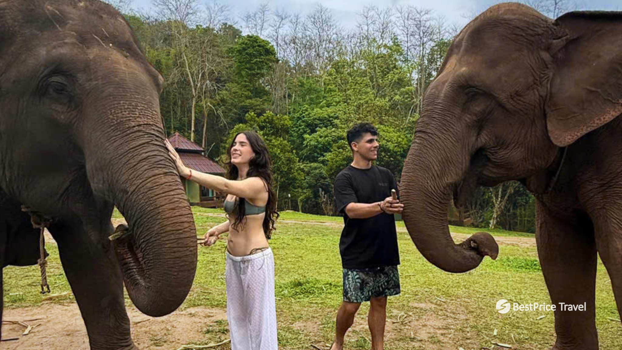 Day 5 Visit Elephant Nature Park And Connect With Rescued Elephants
