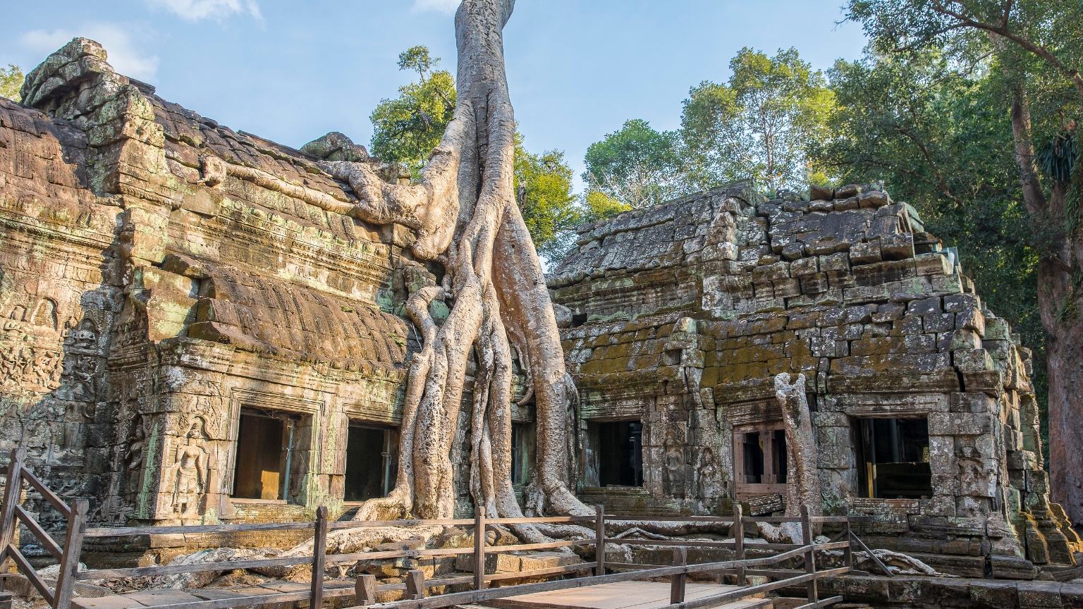 Day 18 Visit Ta Prohm, Where Ancient Ruins Intertwine With Giant Tree Roots