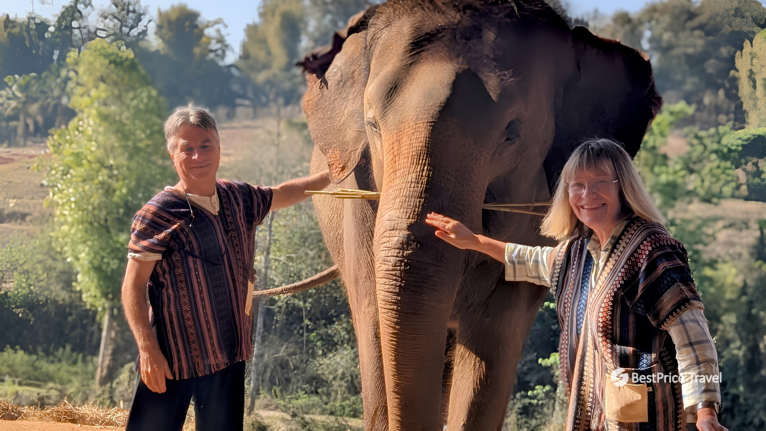 Day 19 Interact With Elephants And Learn About Their Care And Conservation