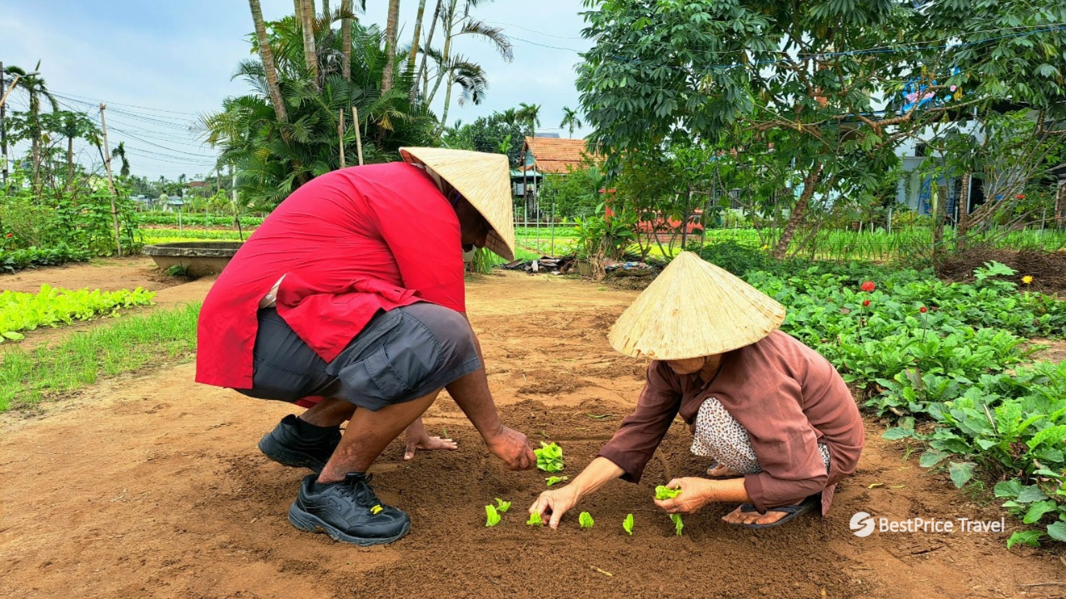 Day 6 Explore Cam Thanh Village And Experience Local Countryside Life