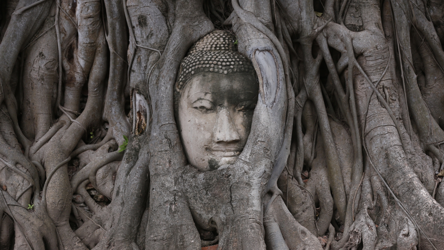 Day 3 Visit Wat Mahathat And Explore Its Fascinating Ancient Ruins