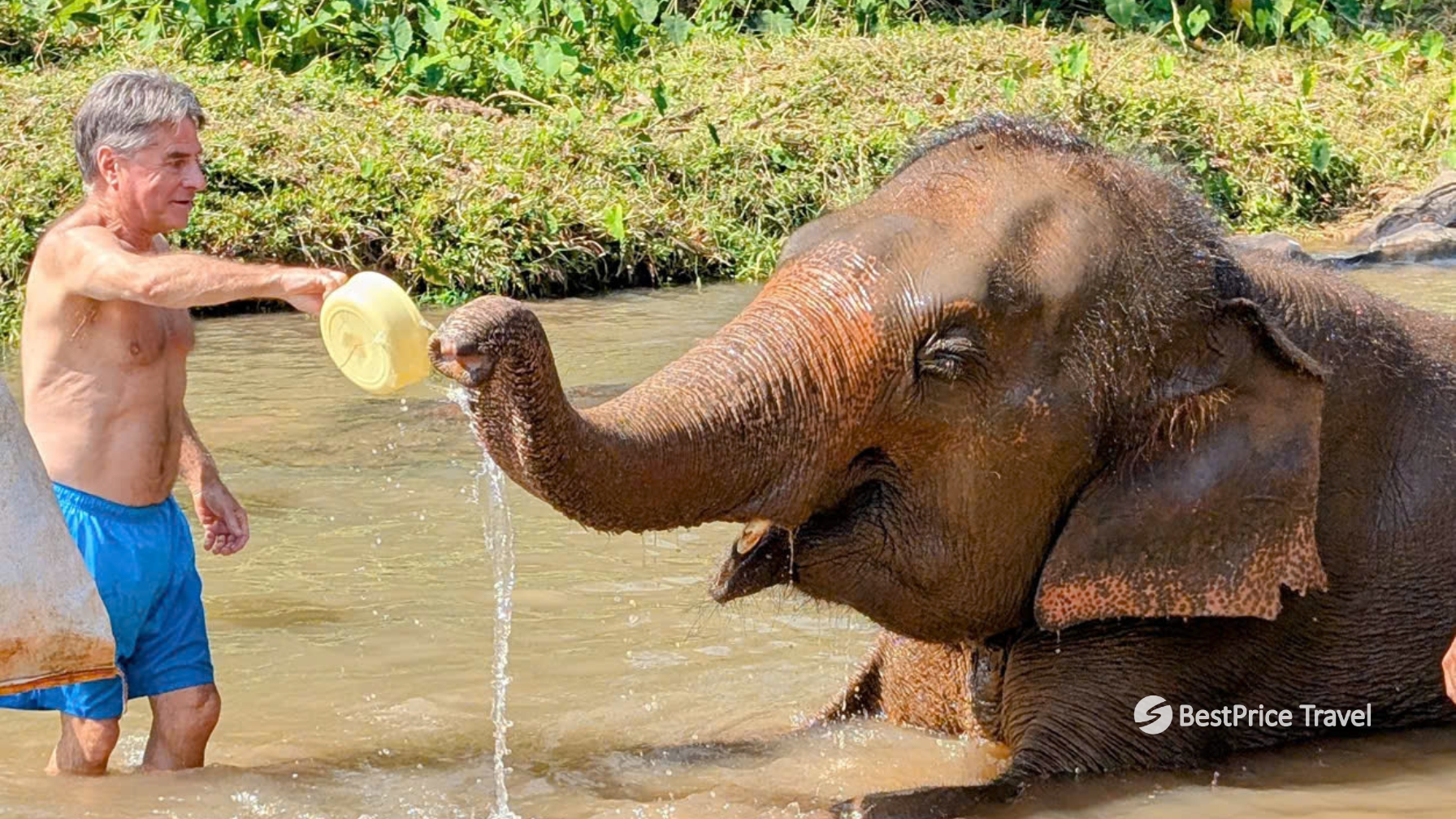 Day 10 Join The Elephants For A Fun Filled Mud Bath Experience