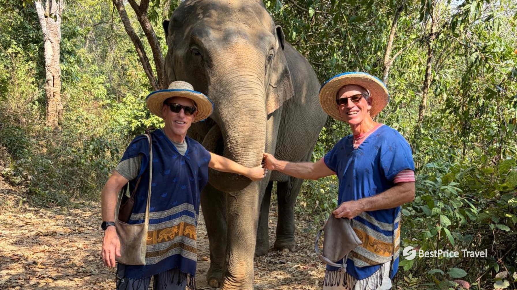 Day 10 Meet Rescued Elephants In A Natural Sanctuary Setting