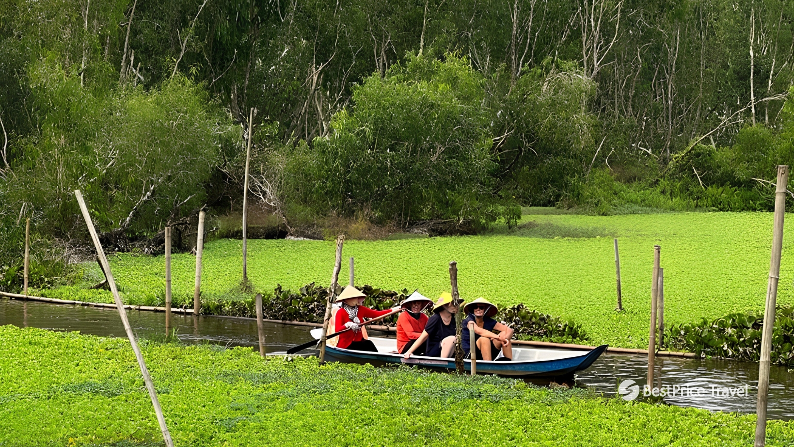 Day 4 Glide Through The Tranquil Waterways Of Tra Su Cajuput Forest