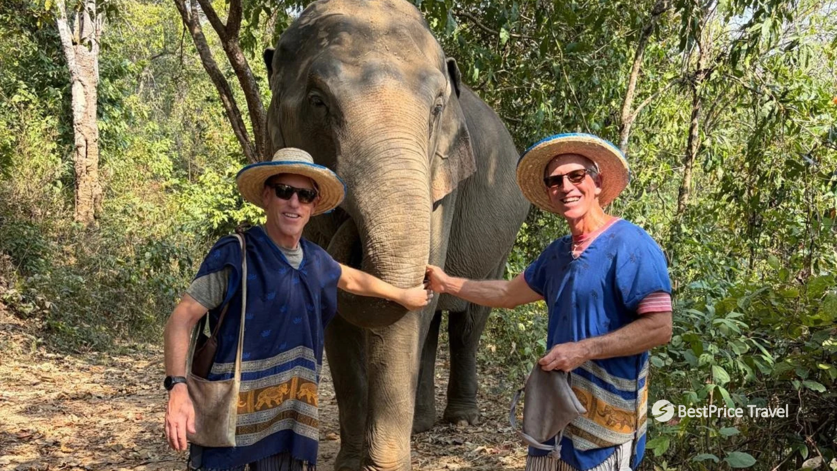 Day 5 Learn About Elephant Care And Conservation