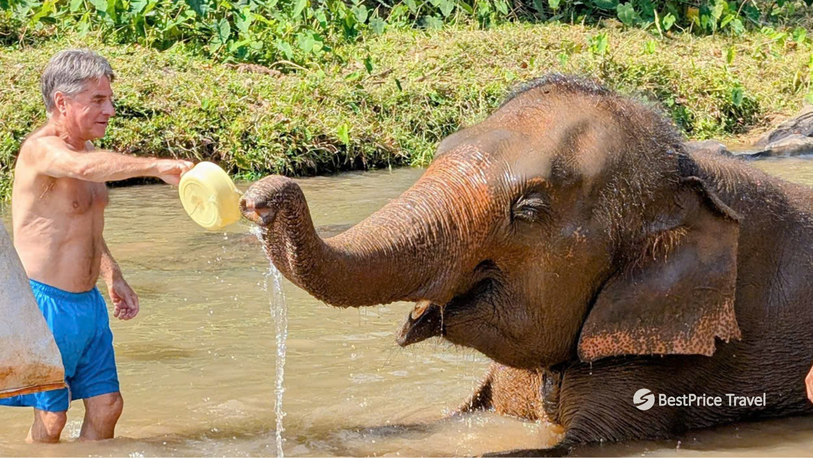 Day 5 Experience A Memorable Mud Spa With Rescued Elephants