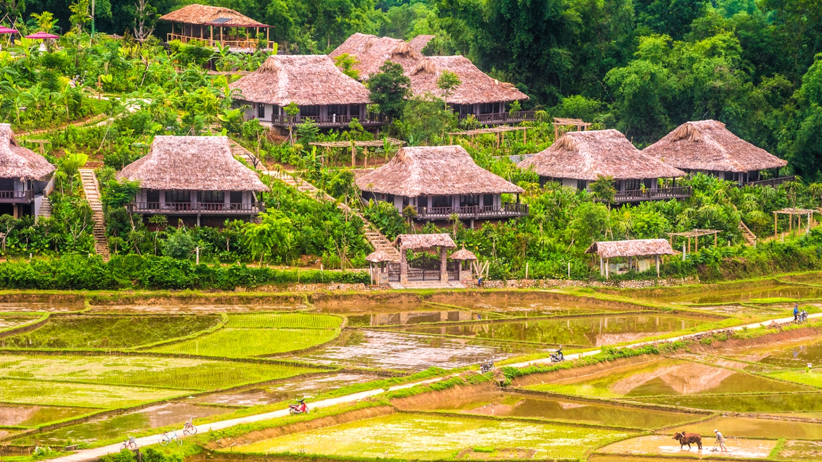 Welcome To Mai Chau Ecolodge