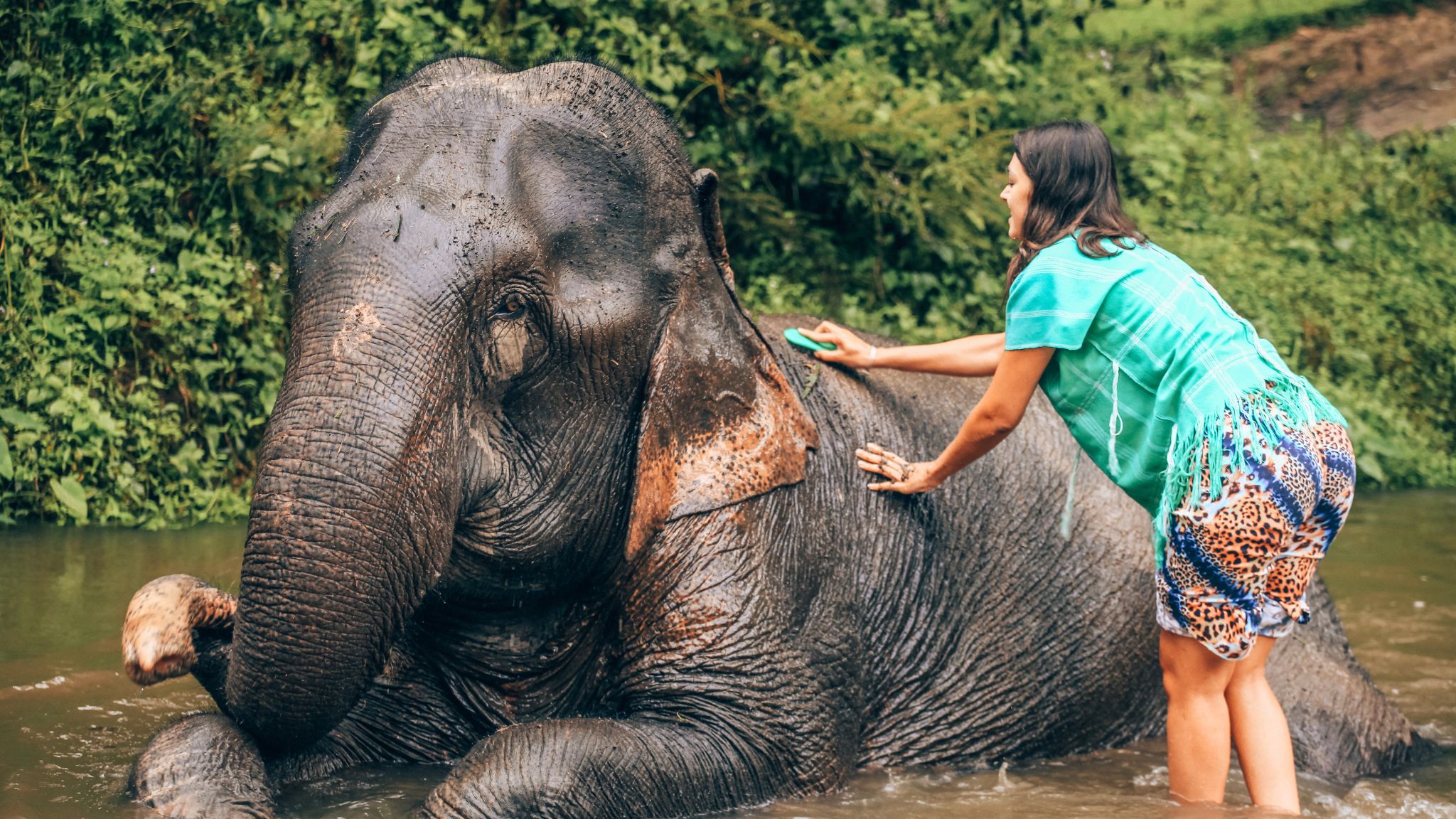 Day 5 Play With Lovely Elephants In Patara Elephant Farm